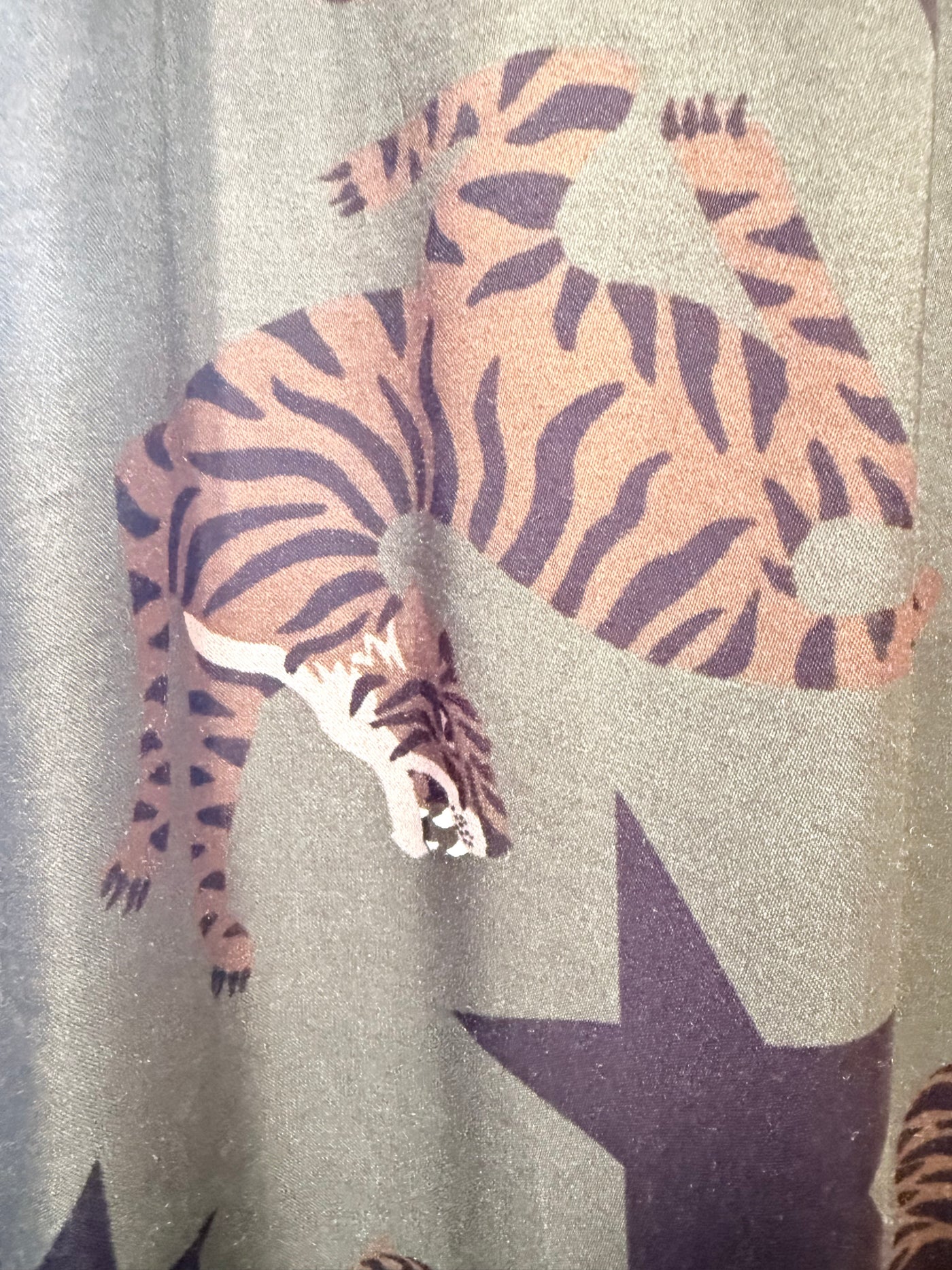 Tiger Print Maxi Dress